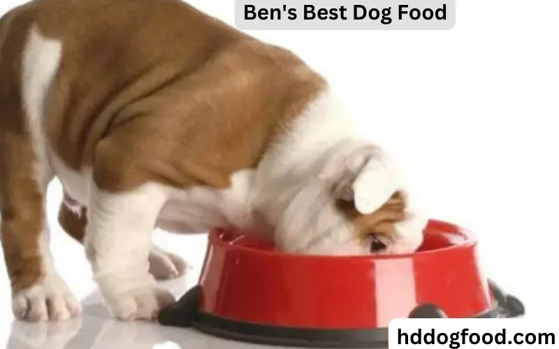 Ben's Best Dog Food