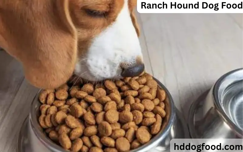 Ranch Hound Dog Food