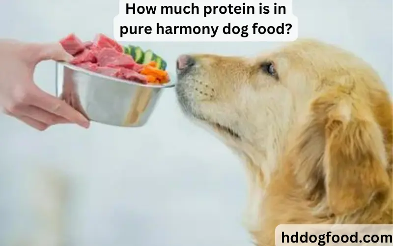 How much protein is in pure harmony dog food?