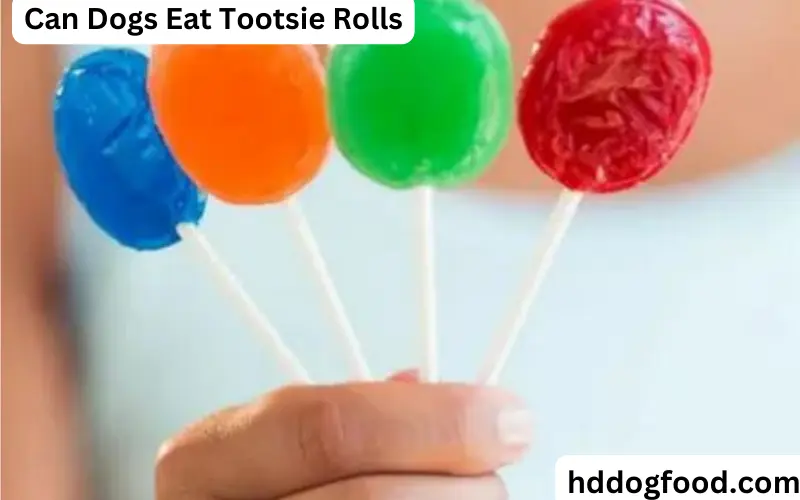 Can Dogs Eat Tootsie Rolls