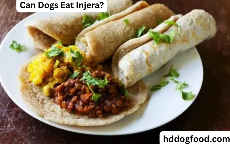Can Dogs Eat Injera?